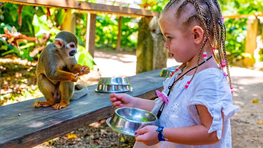 From Bayahibe: Half Day Monkeyland Safari - A Dominican country house before the monkeys