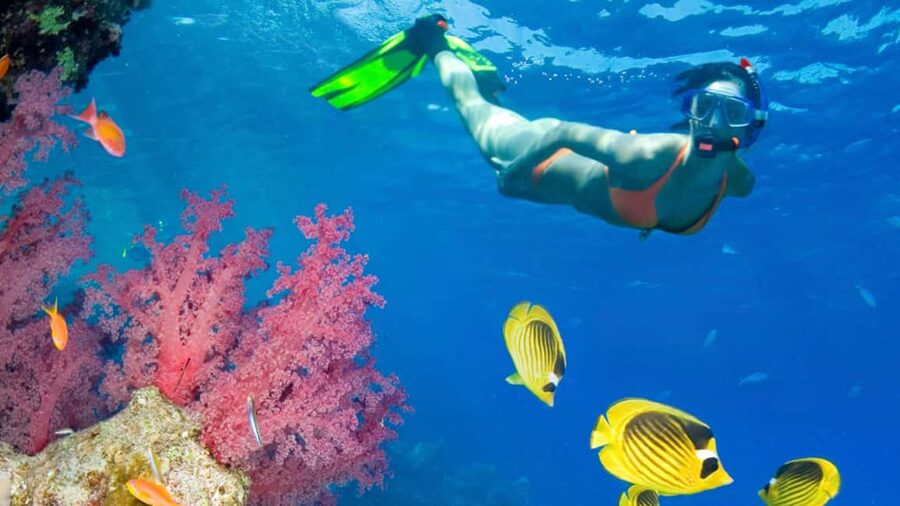 From Punta Cana: Catalina Island Swim, Sail & Snorkel - From Punta Cana to the Chavón River