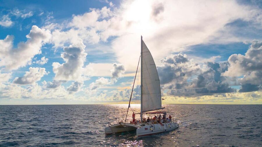 From Punta Cana: Catalina Island Swim, Sail & Snorkel - Snorkeling at the Caribbean Sea Coral Reef Wall