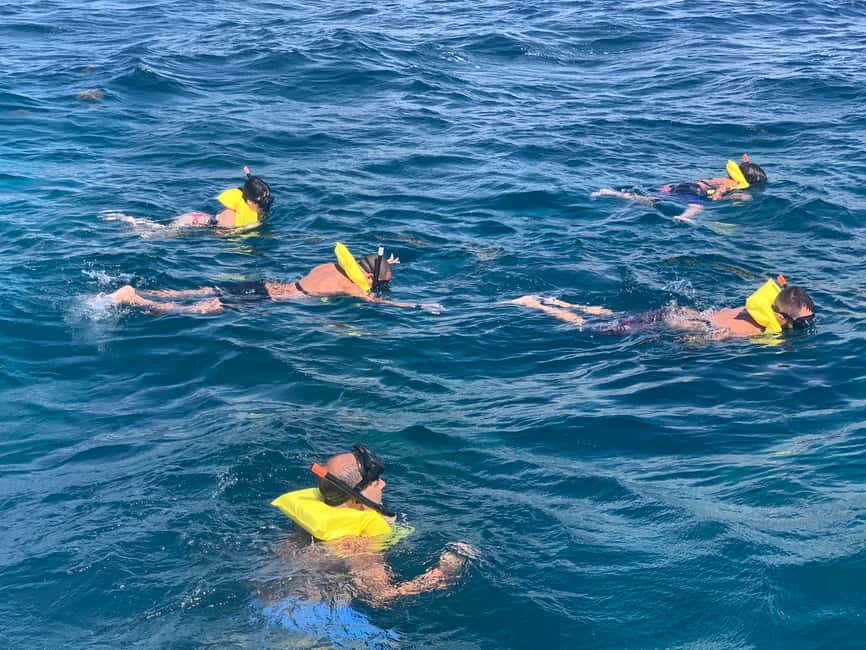 From Punta Cana: Catalina Island Swim, Sail & Snorkel - What to pack and how to prepare