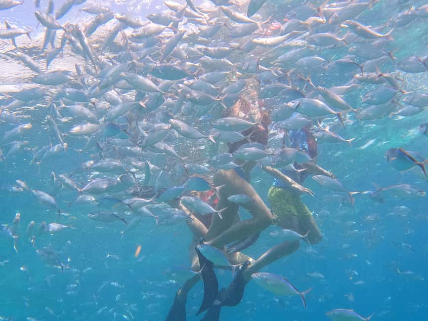 From Punta Cana: Catalina Island Swim, Sail & Snorkel - Should you book it?