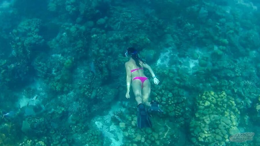 From Punta Cana: Catalina Snorkeling & Altos de Chavon Tour - Key points to know before booking