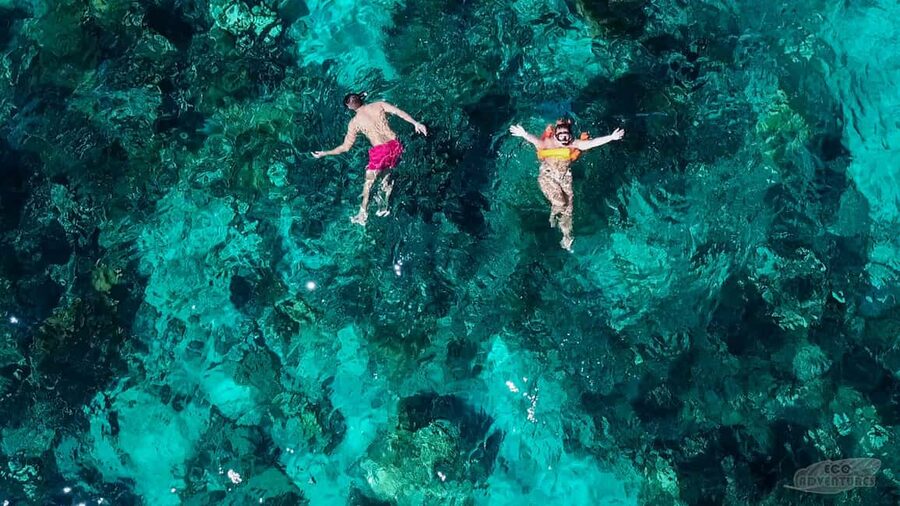 From Punta Cana: Catalina Snorkeling & Altos de Chavon Tour - La Pared gives the day its best underwater focus