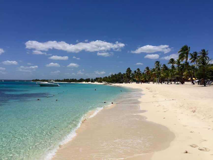 From Punta Cana: Catalina Snorkeling & Altos de Chavon Tour - The guide and group setup matter