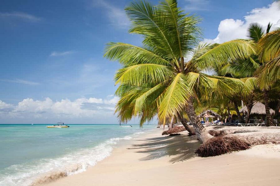 From Punta Cana: Catamaran Tour to Saona Island with Open Bar and Buffet - Key points at a glance