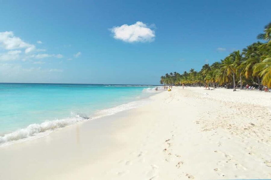 From Punta Cana: Catamaran Tour to Saona Island with Open Bar and Buffet - A Dominican buffet with useful choices