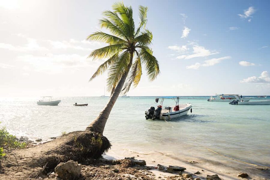 From Punta Cana: Catamaran Tour to Saona Island with Open Bar and Buffet - From your hotel to Bayahibe