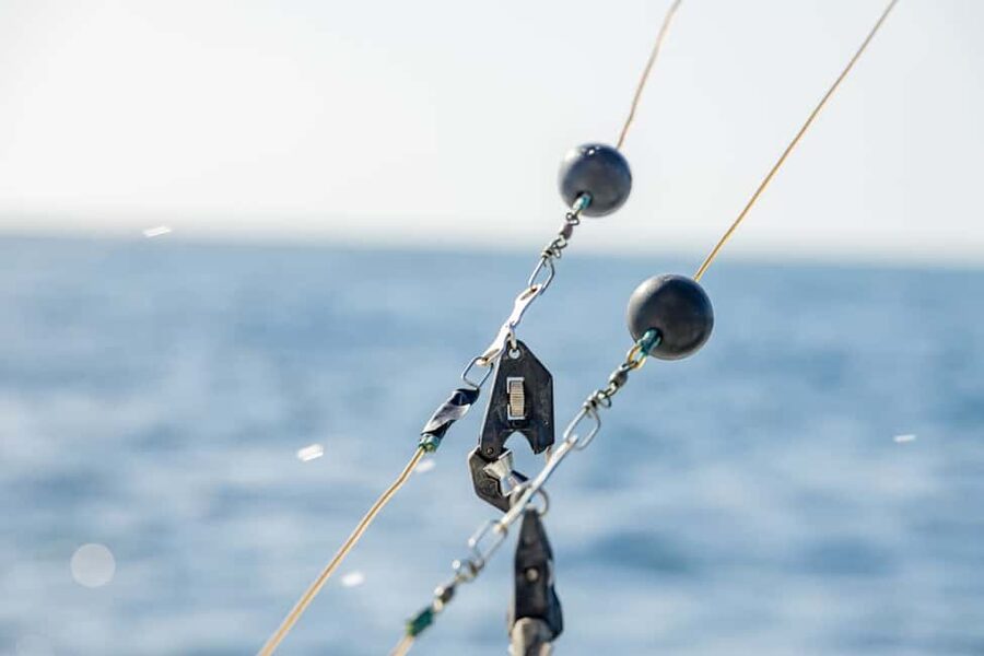 From Punta Cana: Deep Sea Fishing Tour by Boat with Drinks - Key points to know before booking