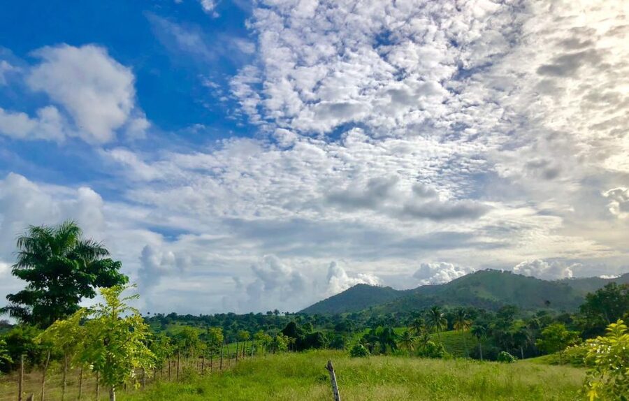 From Punta Cana: Jungle Buggy Adventure to Anamuya River - How much value do you get for $89?