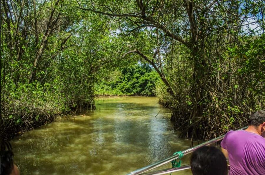 From Punta Cana: Los Haitises Guided Day Tour - Should you book it?