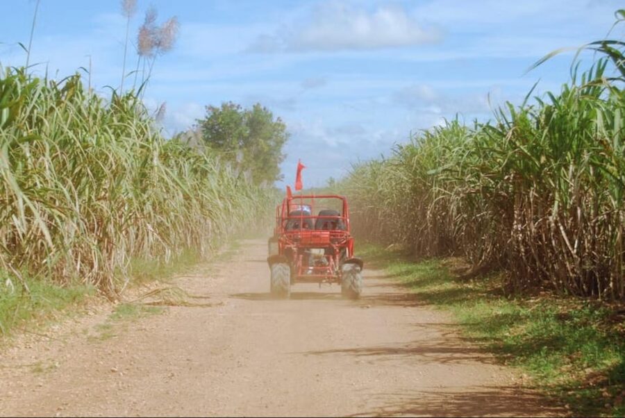 From Punta Cana or La Romana: Sugarcane Fields Buggy or Quad - Cooling off in the wild Chavón River