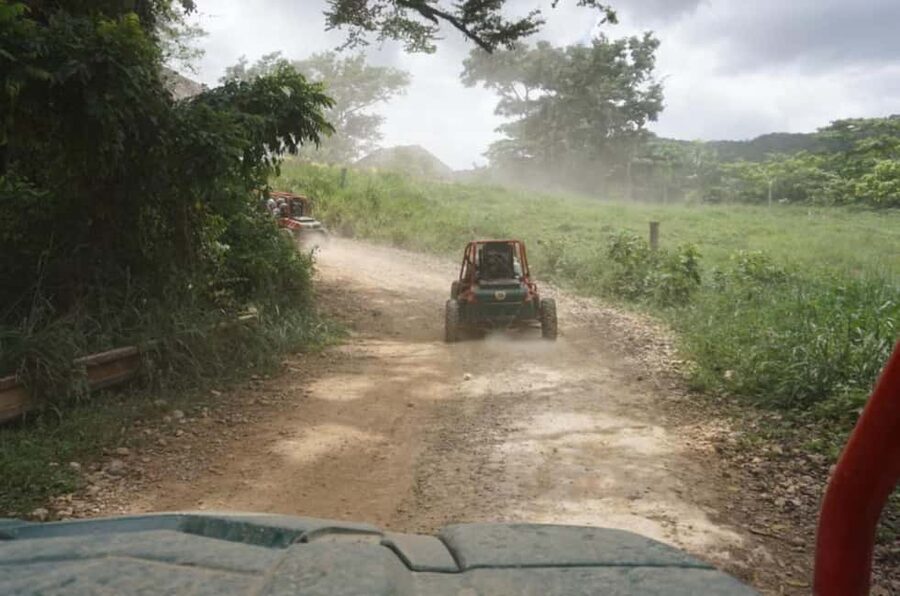 From Punta Cana or La Romana: Sugarcane Fields Buggy or Quad - Choosing between a quad and a buggy