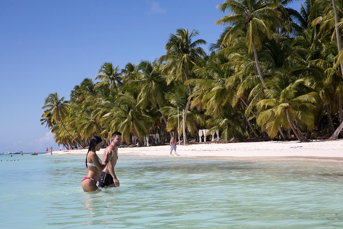 From Punta Cana: Saona Island & Altos de Chavon Day Trip with Lunch and Open Bar - Reaching Saona by speedboat