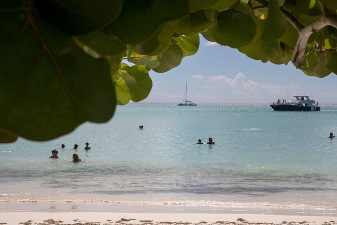 From Punta Cana: Saona Island & Altos de Chavon Day Trip with Lunch and Open Bar - Three hours on Saona Island