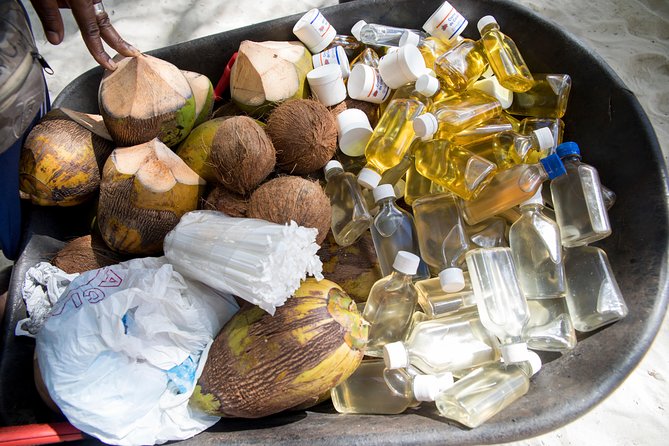 From Punta Cana: Saona Island & Altos de Chavon Day Trip with Lunch and Open Bar - Who will enjoy this day most