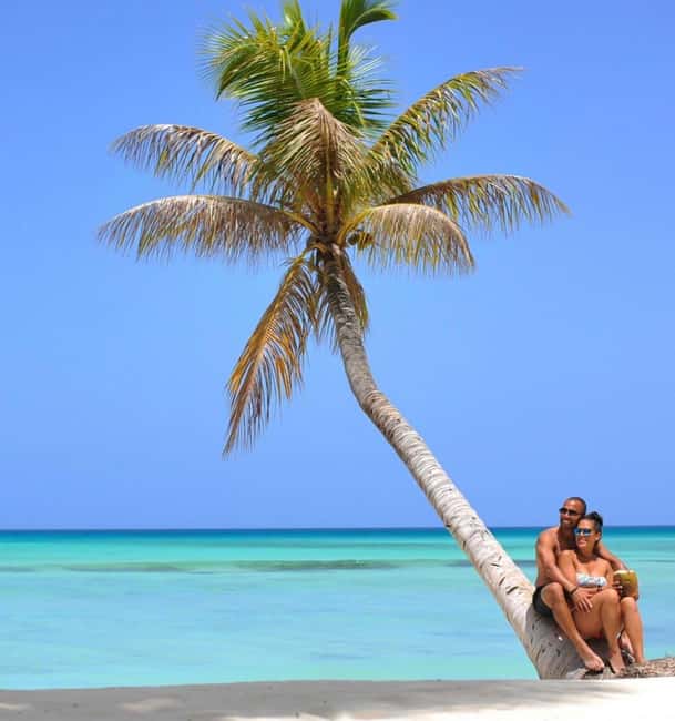 From Punta Cana: Saona Island Boat Trip with Buffet - The natural pool and Saona’s starfish