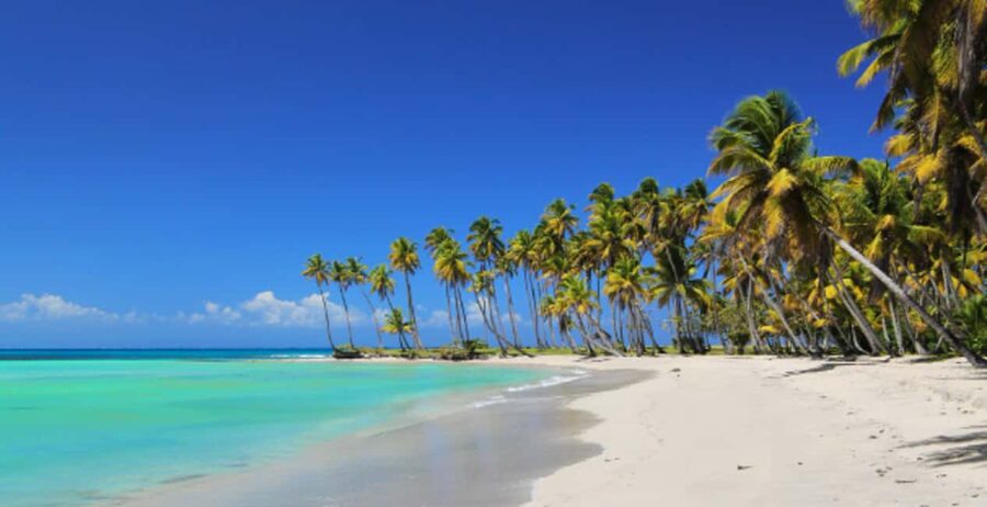 From Punta Cana: Saona Island Boat Trip with Buffet - Choosing between catamaran and speedboat