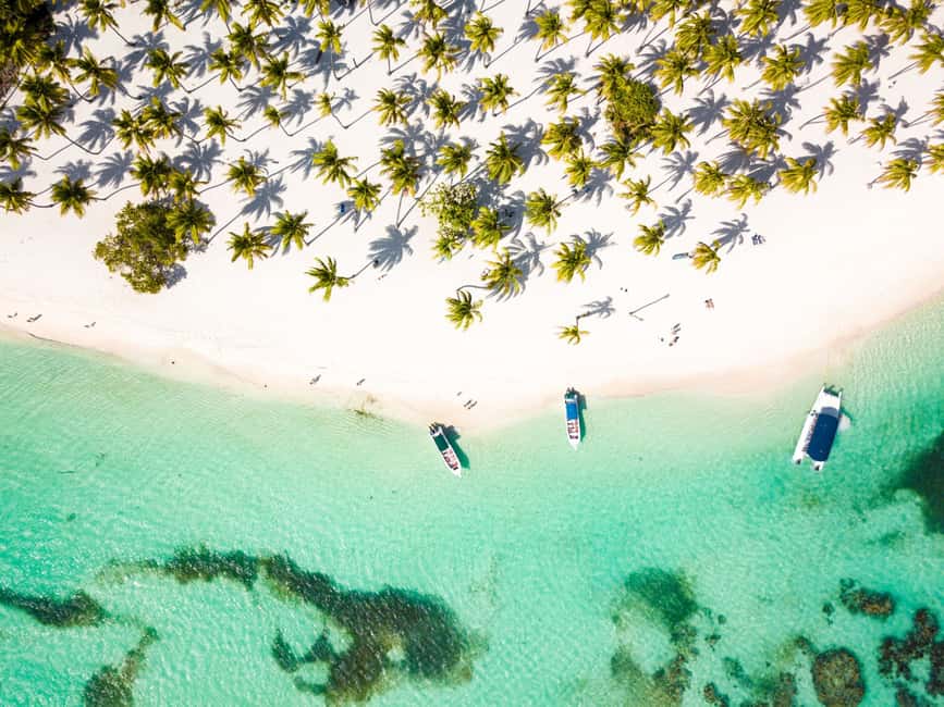 From Punta Cana: Saona Island Cruise with Private Beach - The shallow-water snorkel stop