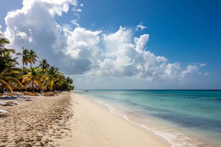 From Punta Cana: Saona Island Cruise with Private Beach - The conservation story behind the scenery
