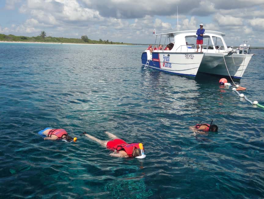 From Punta Cana: Saona Island Full-Day Tour with Lunch - Key points to know before booking