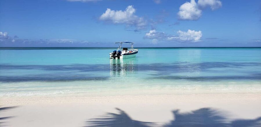 From Punta Cana: Saona Island Full-Day Tour with Lunch - Is $73 a good value?