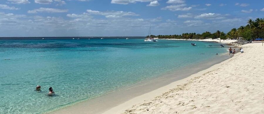 From Punta Cana: Saona Island Full-Day Tour with Lunch - Bayahibe, speedboats, and catamarans