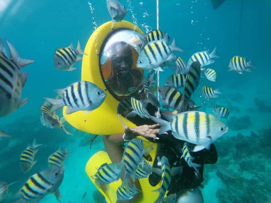 From Punta Cana: ScubaDoo, Snorkel & Glass Bottom Boat Tour - A Gentle First Look Beneath Punta Cana