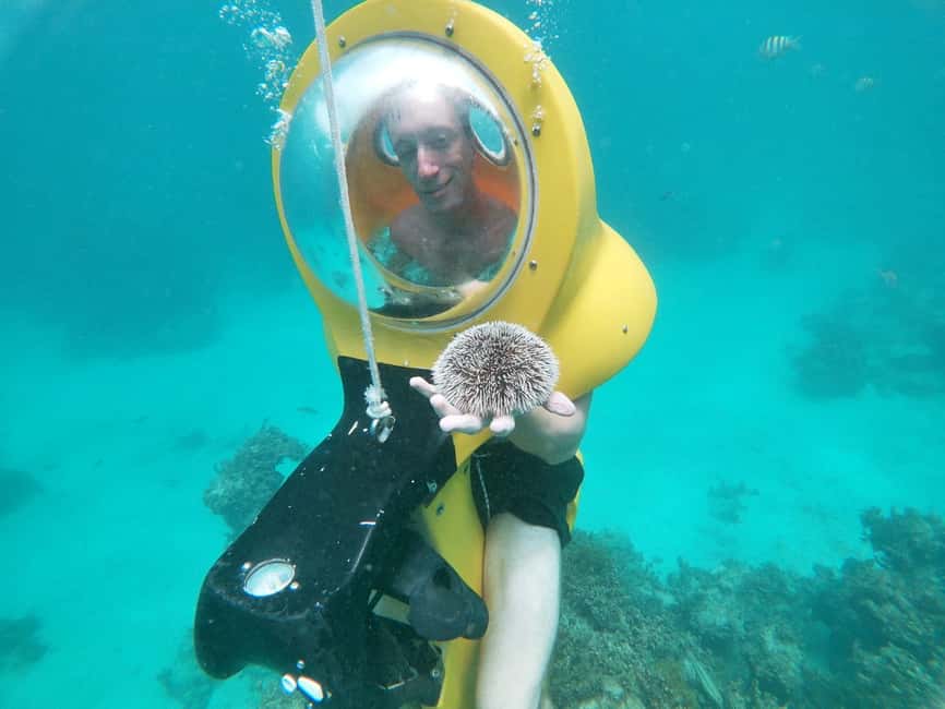 From Punta Cana: ScubaDoo, Snorkel & Glass Bottom Boat Tour - Panoramic One and the Glass-Bottom View