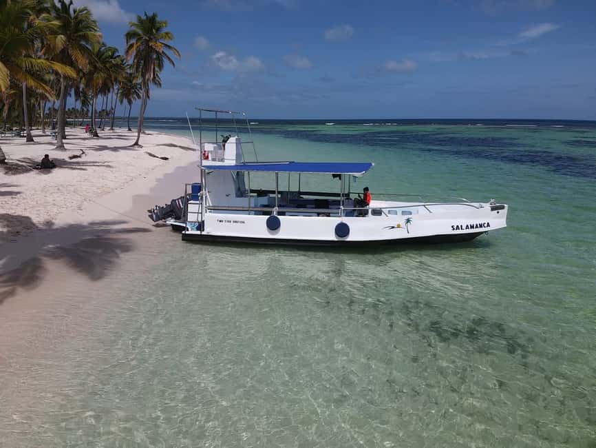 From Punta Cana: Small Group Catalina Island Snorkeling Tour - Who will enjoy this trip most