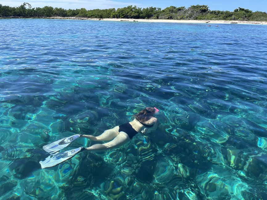 From Punta Cana: Small Group Catalina Island Snorkeling Tour - Catalina Beach gives you two and a half hours to slow down