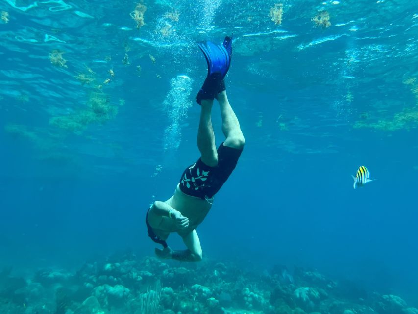 From Punta Cana: Small Group Catalina Island Snorkeling Tour - A natural pool adds one more water stop