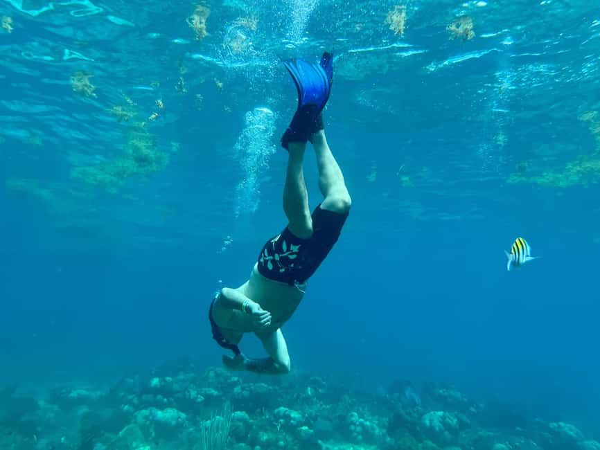 From Punta Cana: Small Group Catalina Island Snorkeling Tour - The Chavón River changes the mood completely