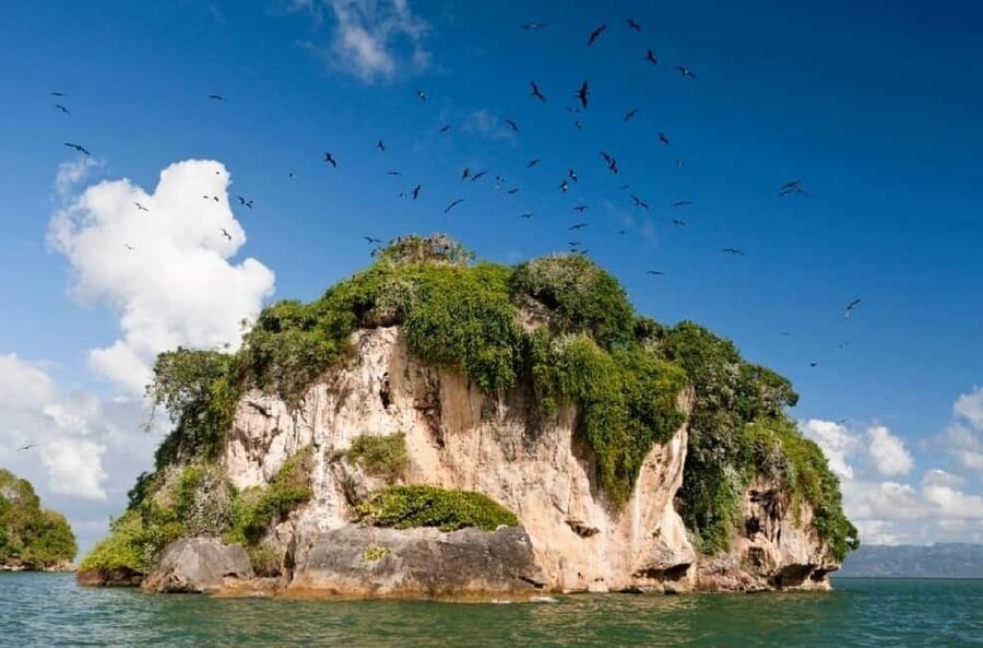 From Samana: Los Haitises Boat and Walking Tour with Lunch - Key points to know before booking