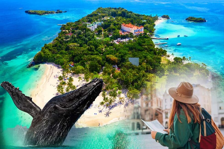 From Samaná: Whale Watching and Cayo Levantado Island Tour - Is the $6 price really the full value?