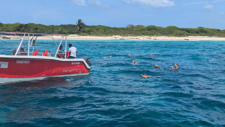 From Santo Domingo: Catalina Island Day Tour - Snorkeling with equipment provided