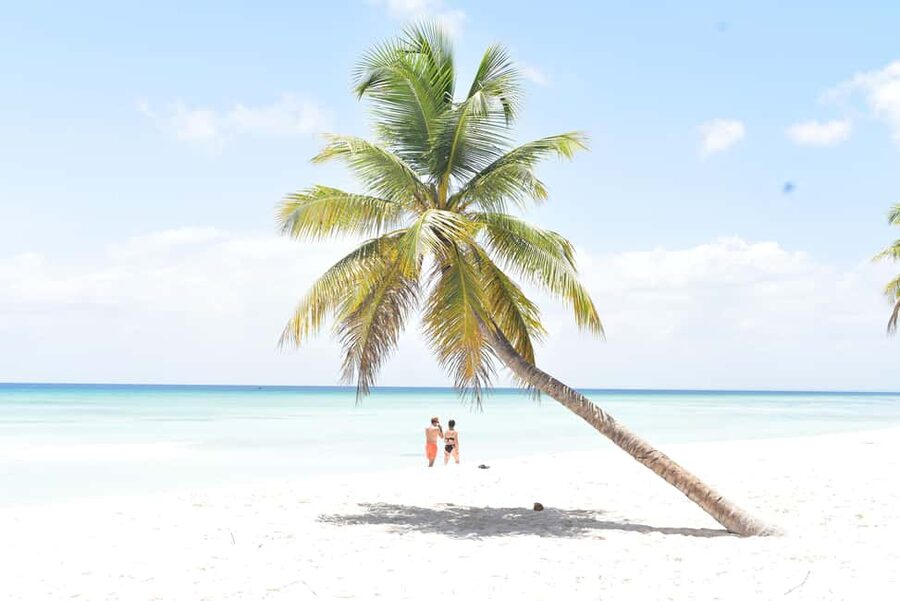 From Santo Domingo - Punta Cana: SAONA ISLAND Food & Drinks - The 105-minute ride from Punta Cana to Bayahibe