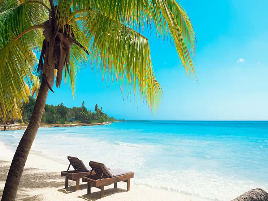 From Santo Domingo: Saona Island Day Trip with Lunch - Who will enjoy this day most