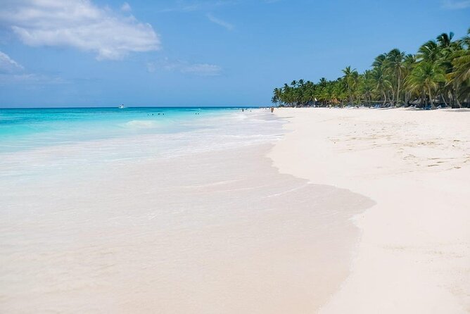 From Santo Domingo: Saona Island For Small Group Catamaran - Almost three hours on Saona Island