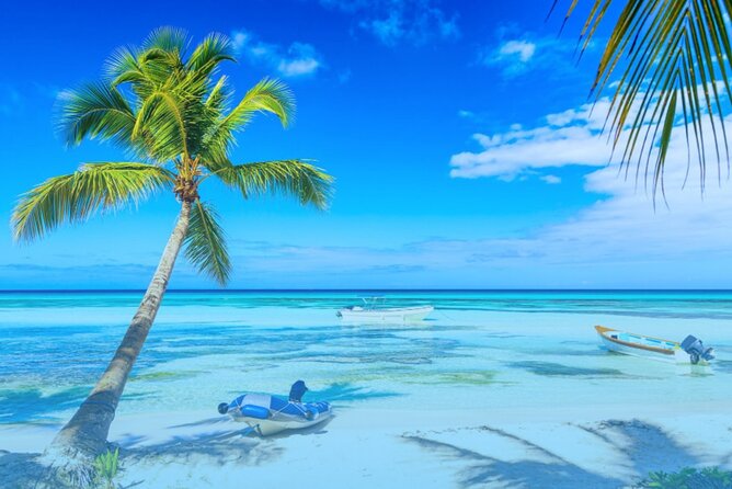 From Santo Domingo: Saona Island For Small Group Catamaran - Seeing the sea star sanctuary