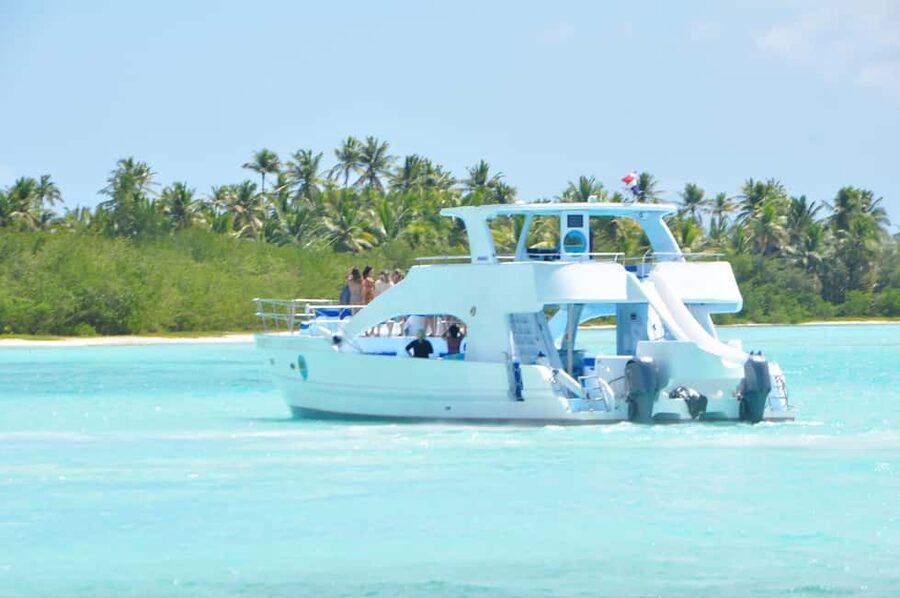 From Santo Domingo: Whale Watching & Cayo Levantado - Practical ways to enjoy the trip