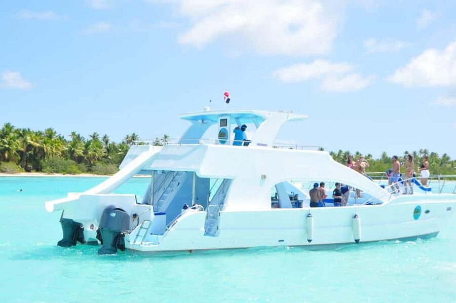 From Santo Domingo: Whale Watching & Cayo Levantado - Watching humpback whales in their natural setting