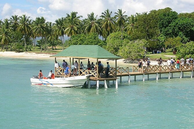 Full Day Bacardi Whale Watching - End Season March 30th - Lunch and beach time on Cayo Levantado