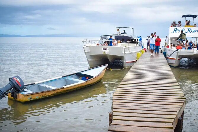 Full Day Bacardi Whale Watching - End Season March 30th - Who will enjoy this tour most