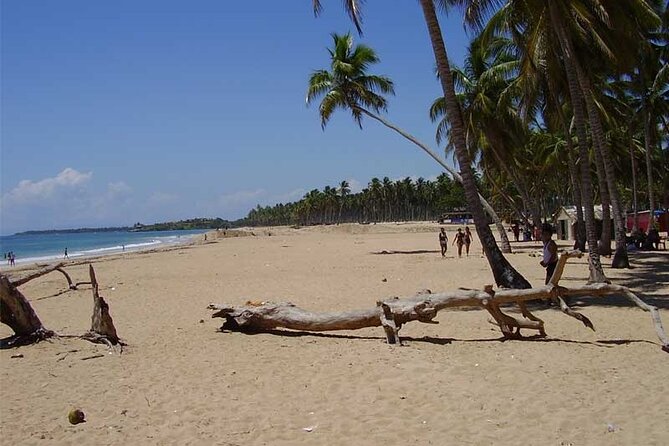 Full-Day Blue Lagoon Tour in Dominican Republic - The 7:00 a.m. Start and the Long Ride East