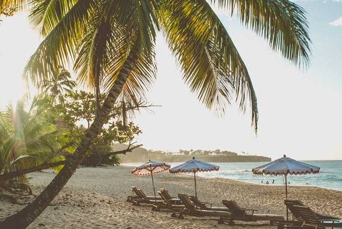 Full-Day Blue Lagoon Tour in Dominican Republic - Who Will Enjoy This Day Most