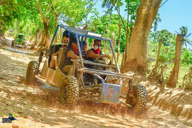 Full-day Buggy & Party Boat tour: snorkel, open bar, cave pool - At a glance