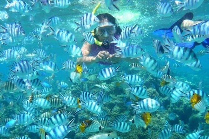 Full day Caribbean Catalina Island with snorkeling - The early start and hotel pickup