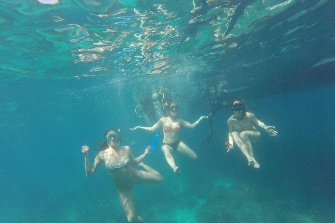Full day Caribbean Catalina Island with snorkeling - How the $79 price measures up