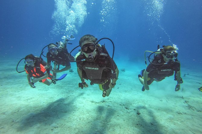 Full-Day Catalina Island Scuba Diving Tour from La Romana - Key points to know before booking