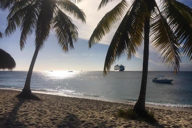 Full-Day Catalina Island Scuba Diving Tour from La Romana - The return cruise and the transportation risk